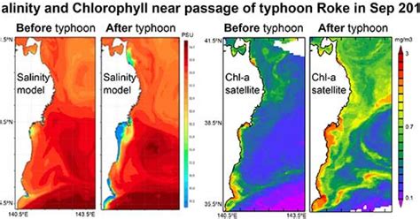 海景台風水|河川から海への水の動き、台風時のモデルを精緻化 －台風がも。